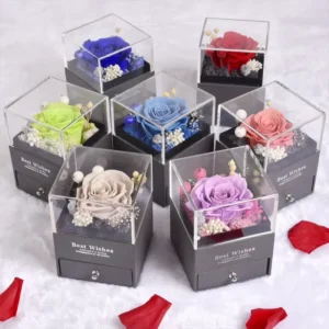 A group of six different roses in clear boxes.